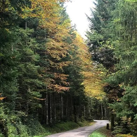 Nuit Insolite - La Du Haut-doubs Chalet *